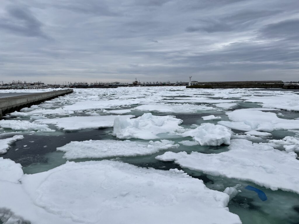 紋別流氷